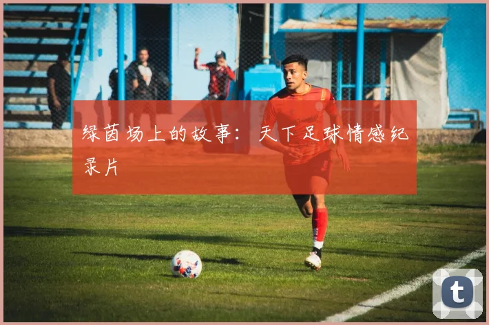 绿茵场上的故事:天下足球情感纪录片